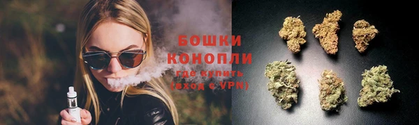 ГАЛЛЮЦИНОГЕННЫЕ ГРИБЫ Беломорск