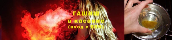 apvp Богородск