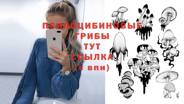apvp Богородск