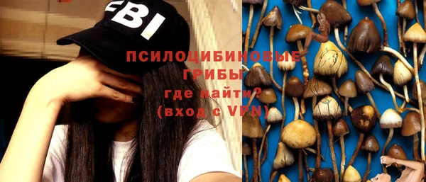 MDMA Каменногорск
