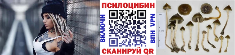 Галлюциногенные грибы мицелий Жердевка